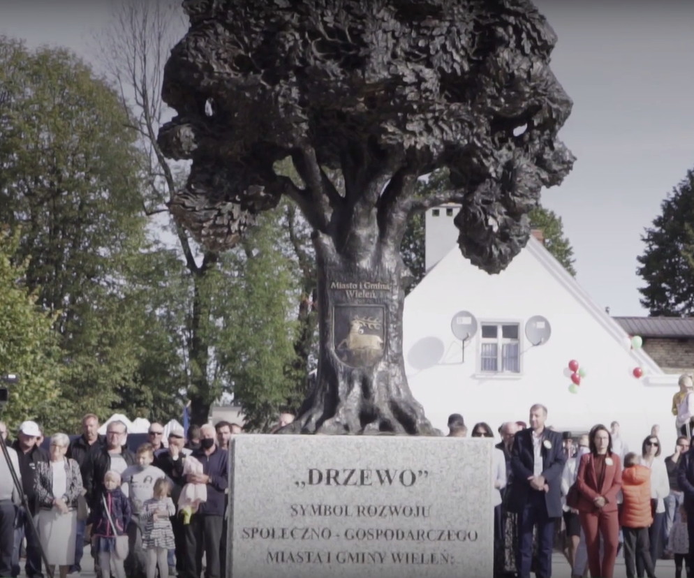 Pomnik Drzewa w Wieleniu: nowy trend rewitalizacji przestrzeni miejskiej?