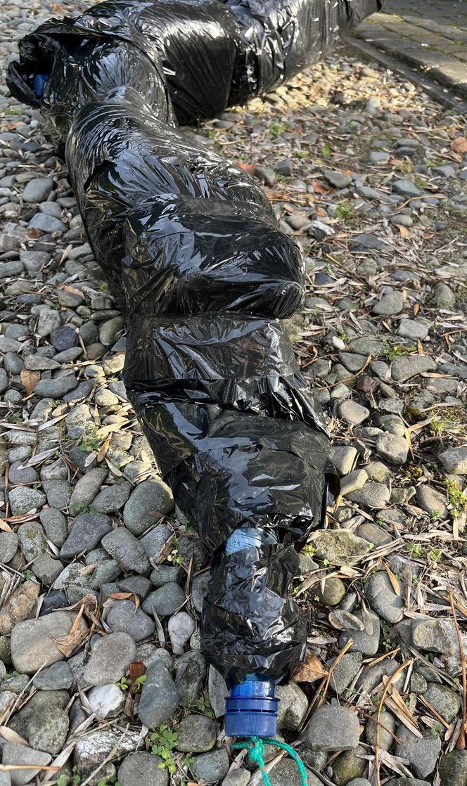 Gigantyczny pająk z plastikowych butelek ozdobił dom w Lublinie
