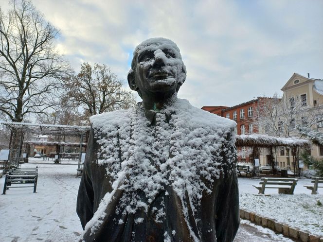 Początek sezonu zimowego w Lesznie - 22 listopada 2024