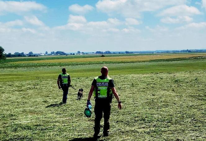 Cały czas trwają intensywne poszukiwania mieszkańca Kramkowa! Przeczesano już około 400 hektarów terenu [ZDJĘCIA]