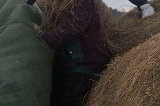 Poszukiwany mężczyzna z gminy Stanin przez dłuższy czas ukrywał się w stercie słomy na polu przykrytej plandeką