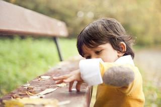 Jesienne zabawy z dzieckiem: wykorzystaj liście, żołędzie, kasztany do zabaw z dzieckiem 