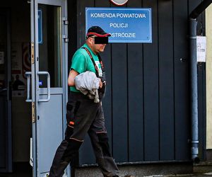 Horror koło Ostródy. Zwierzęta konały bez światła, wody i jedzenia