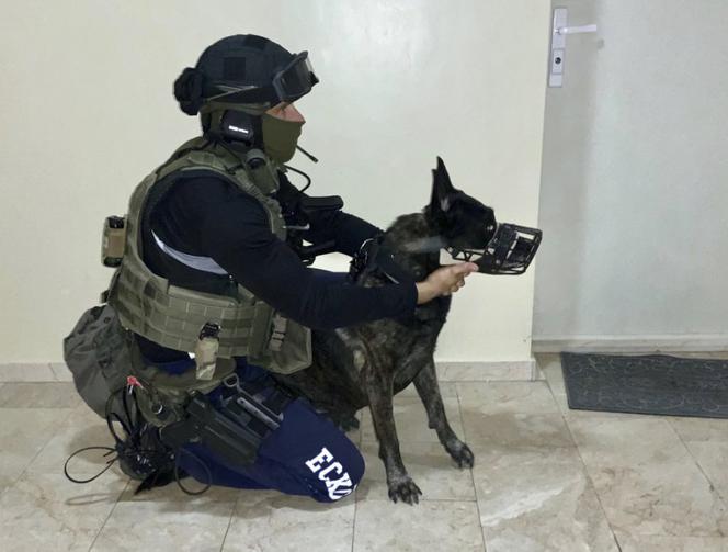 Policjanci rozpracowali grupę narkotykową