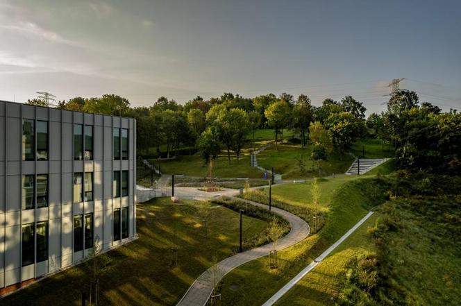 Nowy park przy Politechnice Gdańskiej