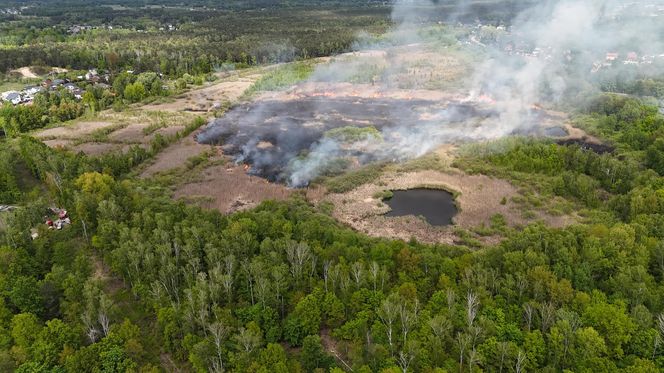Wołomin: Płonie Natura 2000. Dym widać z wielu kilometrów