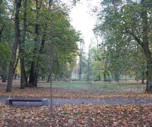 Park Lubomirskich w Białymstoku jesienią 