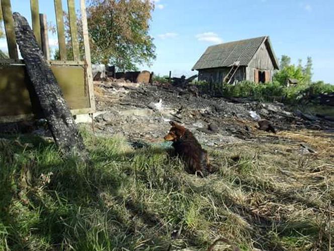 Czeka na pana, który nie żyje