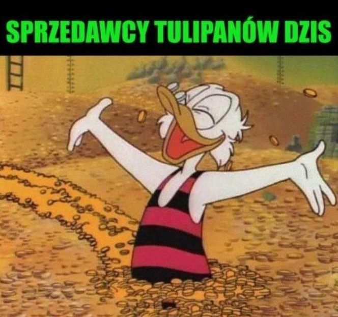 Dzień Kobiet 2025 oczami internautów