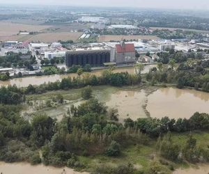 Oława (Zwierzyniec) z drona - czwartek 19.09