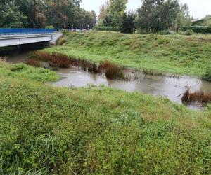 Sytuacja pogodowa we Wrocławiu i okolicach