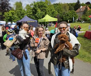 Festiwal Przyjaciół Zwierząt w Olsztynie. Park Centralny opanowały radosne pieski