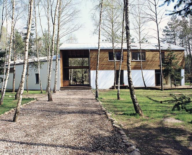 ścieżki i nawierzchnie ogrodowe - leśna działka