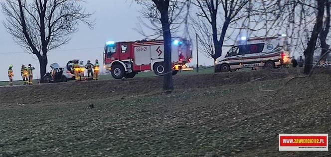 Poważny wypadek drogowy w Gustawowie. Auto roztrzaskało się na drzewie