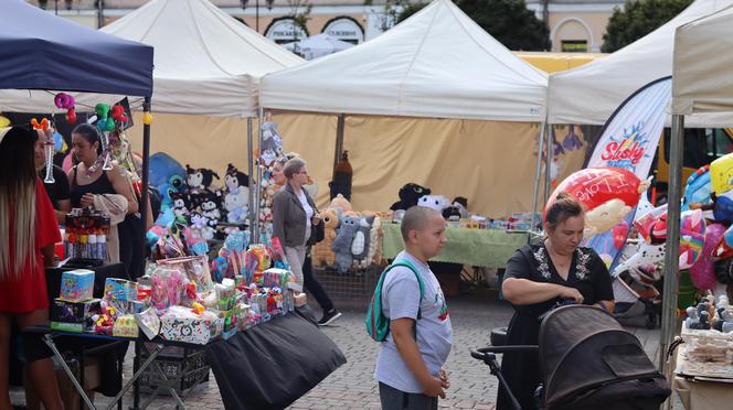 Cukier skakał od samego patrzenia! Tak w Lublinie wyglądał Bajkowy Festiwal Słodkości i Smaku