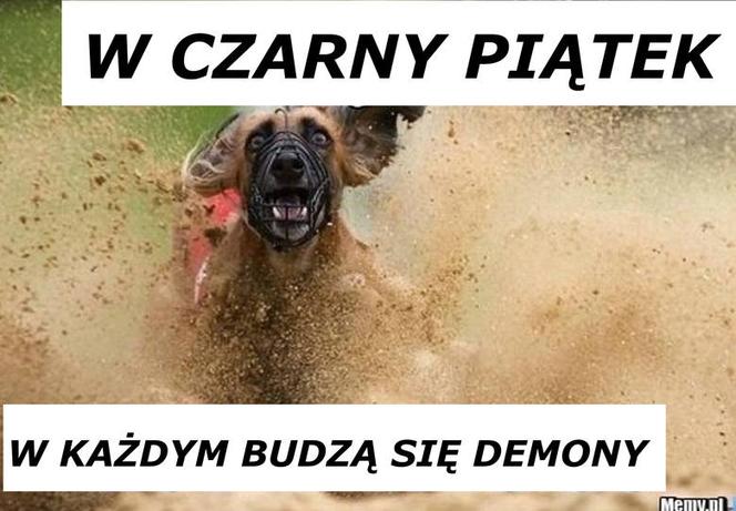 Black Friday memy
