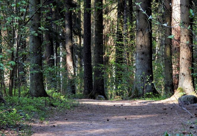 Magiczne krajobrazy. Kruszyniany to kraina jak z baśni