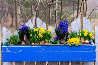 Kompozycje kwiatowe na wiosnę