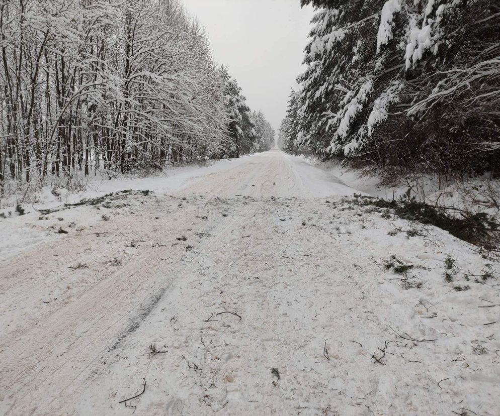 Tę świętokrzyską wieś otaczają same lasy. Co warto zwiedzić w okolicy?