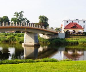 Konin