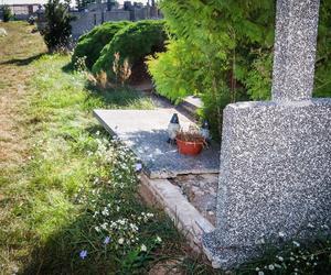 Zniszczył pomniki na cmentarzu