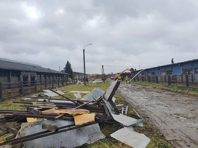 Drzewa na samochodach, zerwane dachy, brak prądu. Skutki wichury w Toruniu i okolicach