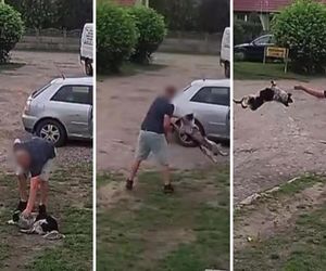 Złapał psa i rzucił nim z całej siły o ziemię! Wstrząsające nagranie obiegło sieć