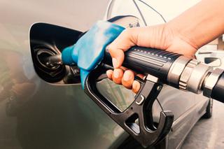 Ceny paliw spadną do 5 zł. Od kiedy? Sprawdź aktualne ceny paliwa