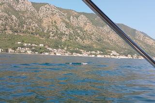 Czarnogóra w obiektywie