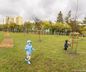 Park na osiedlu Prędocinku 