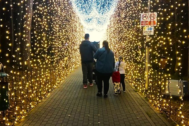 Garden of Lights w Szczecinie