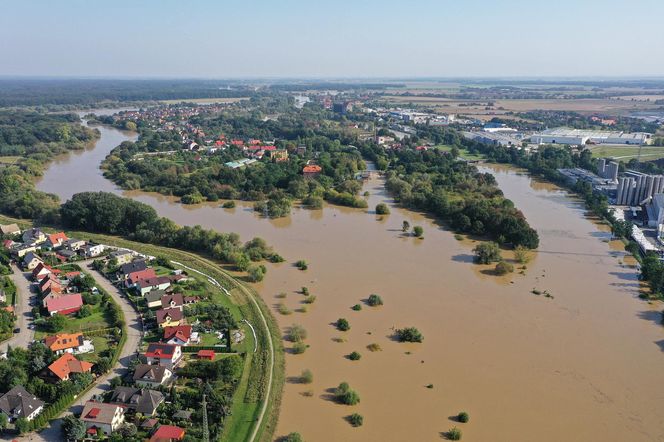 Tak wygląda Oława w czasach powodzi 2024 roku. Poruszający materiał