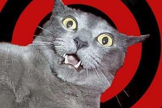 Memy na koniec wakacji