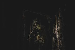 Ćwiczenia wojskowe w Polsce. Wojsko Polskie wzywa rezerwistów