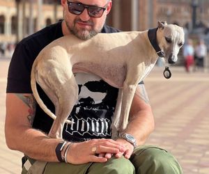 Te psy skradły serca gwiazd! Niektóre wyglądają jak z bajk