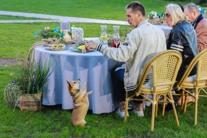 Finał 7. edycji "Sanatorium miłości"