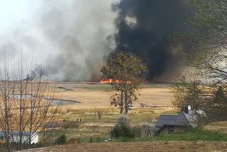 Biebrzański Park Narodowy wciąż płonie. Ogień widać z daleka [ZDJĘCIA, WIDEO] 