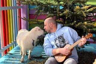 Świąteczne kolędowanie z baranami [GALERIA]