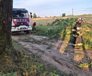 Nawałnice przeszły przez Polskę. Najwięcej interwencji na Warmii i Mazurach [ZDJĘCIA]