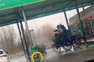 Szok w Makowie Mazowieckim! Umyli konia myjką ciśnieniową