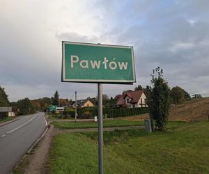 Tragiczny wypadek w Pawłowie. Byk zaatakował kobietę
