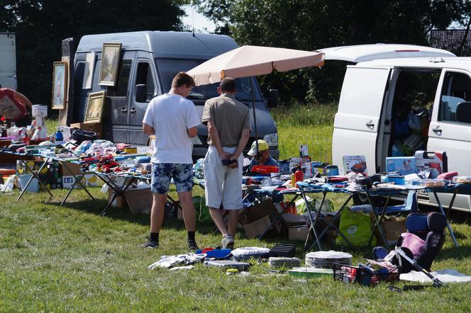 Pchli targ w podbydgoskich Przyłękach przyciągnął tłumy [ZDJĘCIA]