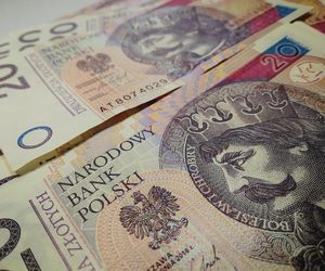 Nie brakuje chętnych do uzyskania renty wdowiej - Nowe dane