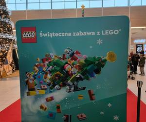 Największa w Polsce choinka z klocków LEGO. Każdy może wziąć udział w jej tworzeniu