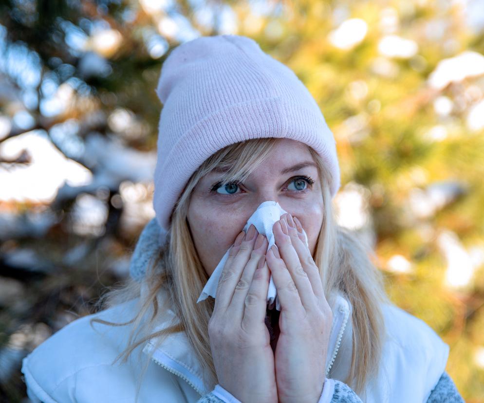 Sinupret to popularny lek stosowany w przypadku infekcji zatok.