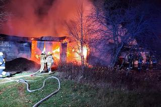 Pożar gospodarstwa na Podkarpaciu. W płomieniach zginęły zwierzęta