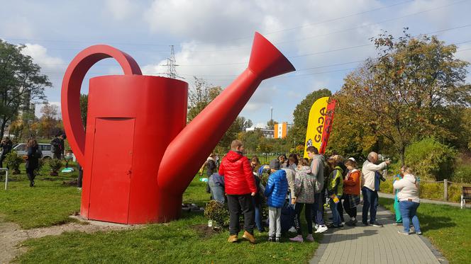 Pastwisko dla koni w Sosnowcu