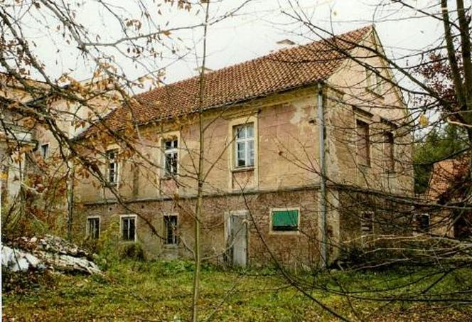 Chcą uratować zabytkowy pałac w powiecie ostródzkim. Potrzebna jest gigantyczna suma pieniędzy [ZDJĘCIA]