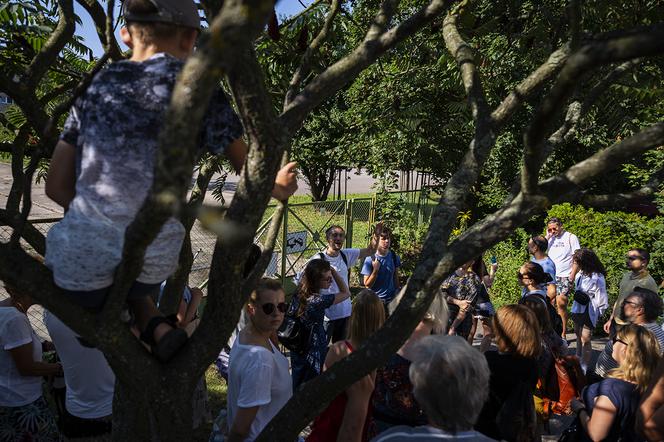 Za nami XII edycja Weekendu Architektury w Gdyni: fotoreportaż