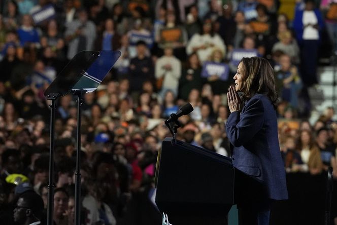 Polacy mają wyraźnego faworyta! Trump czy Kamala Harris? Wszystko jasne